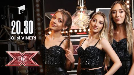 X Factor 2020 / Bootcamp: Trio Eva - Single ladies