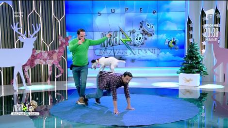 Dani Oțil s-a așezat în patru labe! Cum dresezi câinele să sară peste obstacole