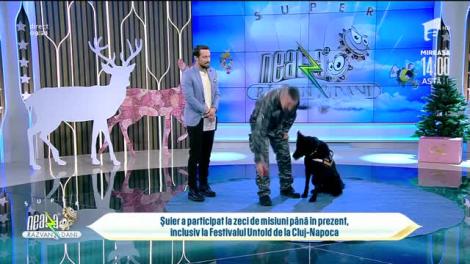 Șuier, spaima traficanților de droguri, la Neatza. Cum sunt antrenați câinii polițiști