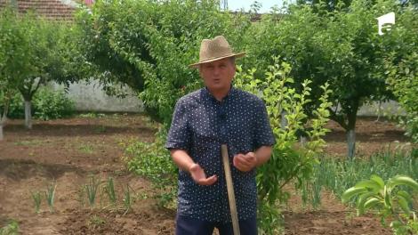 Nea Mărin își duce echipa la fermă să facă rost de țuică: Trebuie să munciți ca să o primiți!