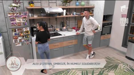Ștefan și Alex, la vânătoare de impresii și adevăruri despre fetele noi din casa Mireasa