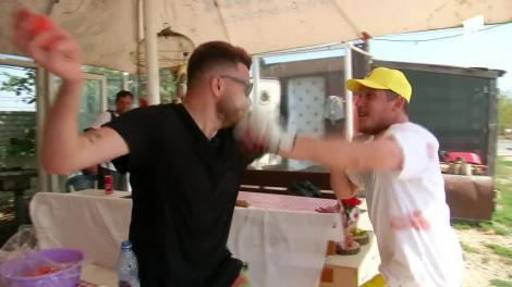 Haos la Poftiți la Circ. What's Up și Shift, bătaie cu rumeguș și pepeni