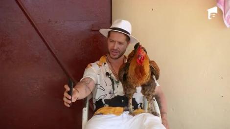 Poftiți la circ 2020, ediția 9. Jorge s-a împrietenit cu ”cel mai pervers cocoș”. Ce i-a făcut pasărea