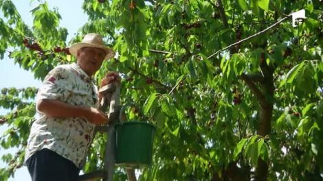 Poftiți la circ 2020, ediția 10. Ruby și Cosmin Seleși l-au scos din minți pe Nea Marin! Cum a reacționat acesta