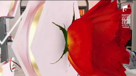 Alexandru și Andreea, un cuplu care știe ce vrea de la viață