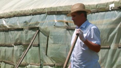 Poftiți la circ 2020, ediția 11. Liviu Vârciu l-a rugat pe Nea Marin să-l bată cu bățul! Ce a urmat