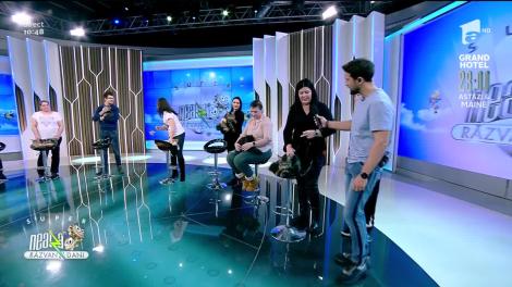 Cele mai frumoase pisici din rasa Maine Coon, în direct la Neatza