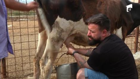 Nea Mărin îi pune la muncă grea pe Oase și Monica de la Cheeky Girls. Trebuie să mulgă vacile: Dă cu zoom ca să se vadă mult