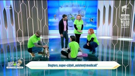 Primii cățeii ”asistenți medicali” din România, la Neatza. Cum sunt dresați