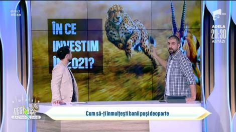 Cum să-ți înmulțești banii puși deoparte. Idei pentru a ne mări veniturile