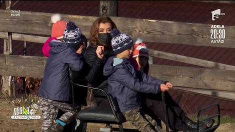 Loc de poveste la poalele Munților Leaota, la Centrul de echitație de la Runcu