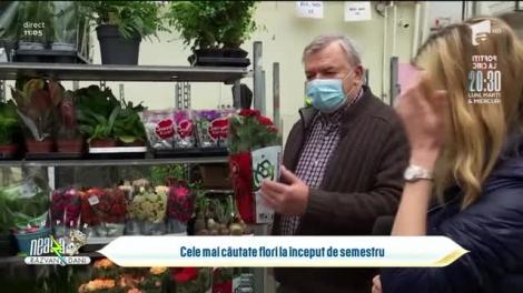 Cele mai căutate flori la începutul celui de-al doilea semestru școlar