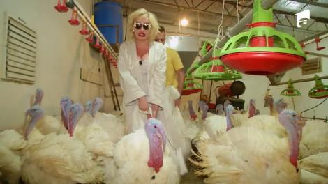 Ana Morodan și Marian Capet, show cu țipete la crescătoria de păsări: Curcanul astă este depresiv!