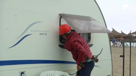 Liviu Vârciu și Andrei Ștefănescu, bătuți cu nuiaua. Cine a folosit pistolul!