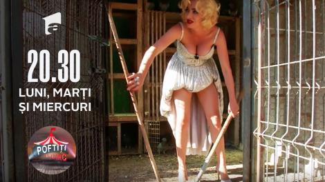 Diva tot divă rămâne! Ana Morodan face curat la porumbei în rochie de seară!