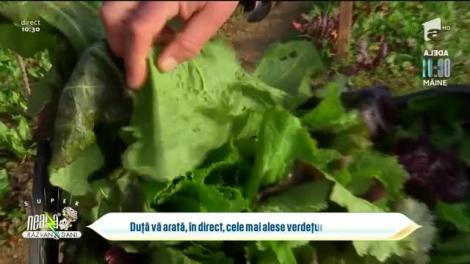 Cele mai alese verdețuri de februarie