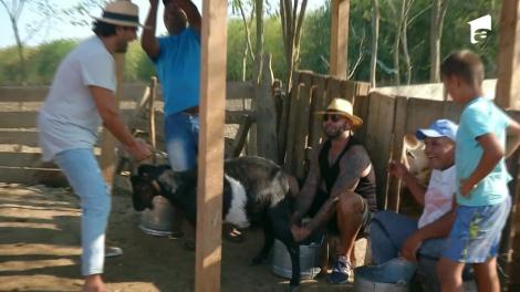 Giani Kiriță a încurcat țapul cu capra! Iată cum au muls capre și cărat bălegar vedetele de la Poftiți la circ