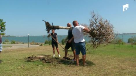 Au smuls un copac din pământ cu mâinile goale! Roxana Vancea: Muncă de sclav