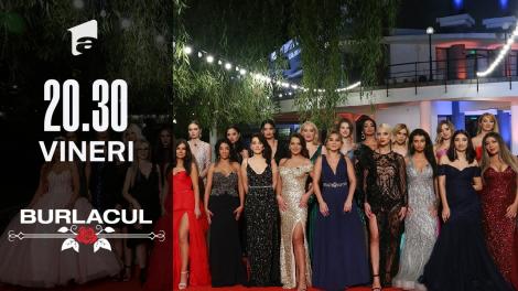 Cine sunt cele 25 de pretendente la inima Burlacului