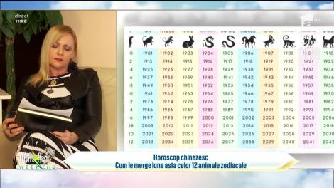 Horoscop chinezesc. Cum le merge luna aceasta celor 12 animale zodiacale