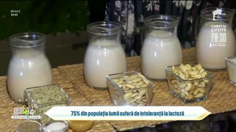 Laptele vegetal, tot mai căutat de români. Cele mai simple rețete de preparare, în direct, la Neatza