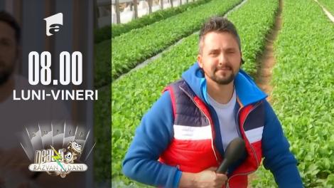 Mix de verdețuri și legume pentru o cură sănătoasă de primăvară