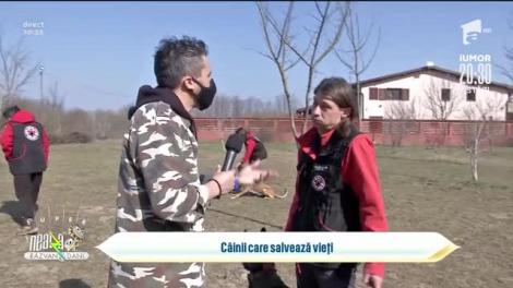 Câinii care salvează vieți