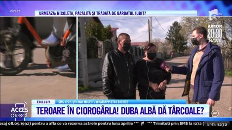 Zeci de localnici din comuna Ciorogârla stau cu frica în sân, după ce şoferul unei dube ar fi încercat să le răpească copiii