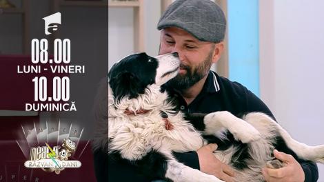 Educația canină. Câinii ”asistenți-medicali”, ajutor pentru persoanele cu dizabilități