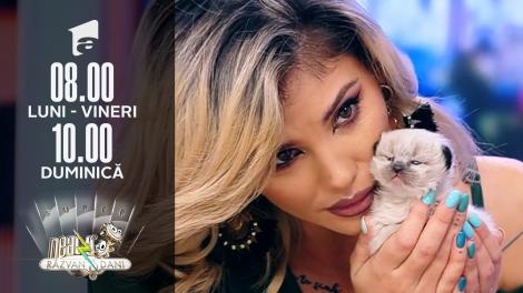 Probleme de sănătate ale puilor de câine și pisică