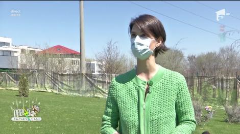 Lucrul manual, activitatea preferată de copii la grădiniță