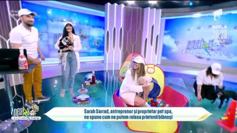 Răsfăț total pentru căței, în direct, la Neatza cu Răzvan și Dani