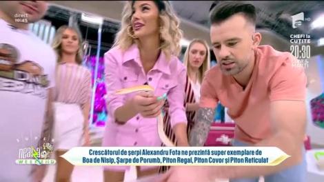 Super expoziție de șerpi, în direct, la Neatza de Weekend