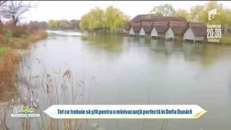 Delta Dunării, destinația pentru o vacanță în siguranță