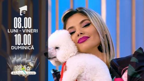 Cei mai pufoși și blănoși căței din rasa Caniche, în direct, la Super Neatza