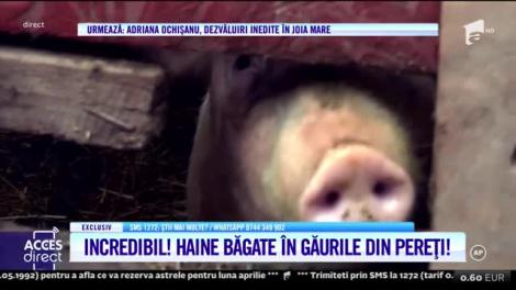 Magazia de lemne le-a devenit adăpost celor doi îngeraşi şi mamei lor: Îmi doresc să am mâncare pentru ei!