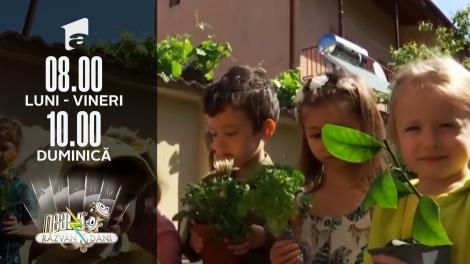 Picii de grădiniță, grădinari pentru o zi