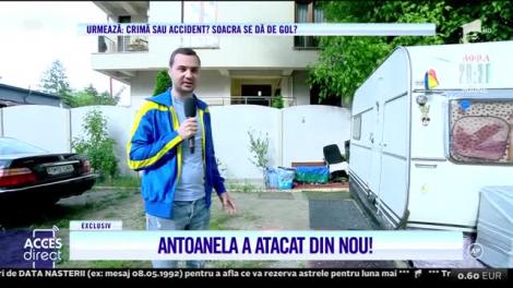 Antoanela a atacat din nou! Mirela Vaida, apel către procurori: Nu renunț!