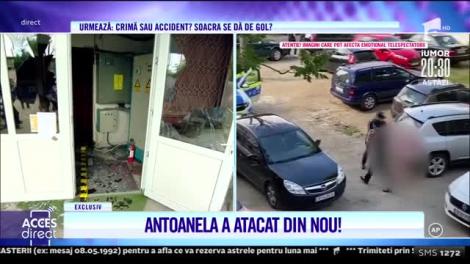 Filmul atacului Antoanelei! Mirela Vaida: Chiar nu se sesisează nimeni?