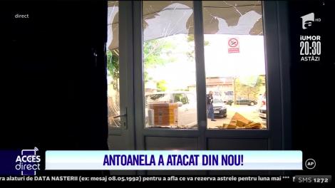 Antoanela a atacat din nou sediul Acces Direct! Mirela Vaida: Procurorii nu înțeleg!