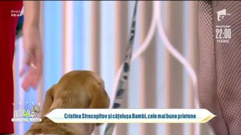 Cristina Strecopîtov și cățelușa Bambi, cele mai bune prietene: Am adoptat-o acum trei luni!