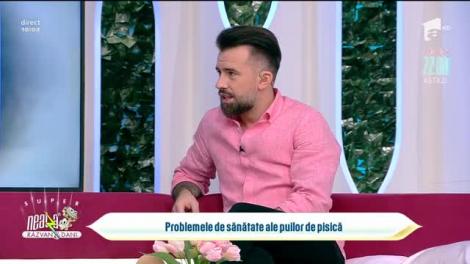 Problemele de sănătate ale puilor de pisică