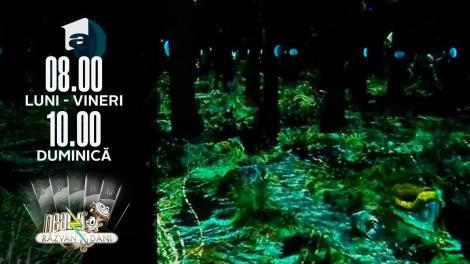 Romanian Design Week, cel mai amplu festival dedicat industriilor creative