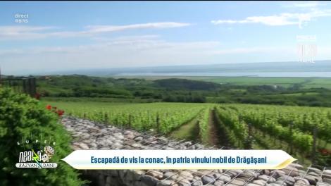 Escapadă de vis la conac, în patria vinului nobil de Drăgășani