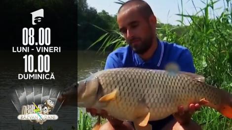 Super Neatza, 21 iulie 2021. Nu e poveste pescărească! Studenții de la Medicină, duel în undițe cu cei de la Drept