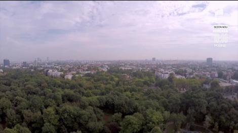 Povești de familie, episodul 39, 27 august 2021. Camelia primește o lovitură dură! Pierde custodia copiilor!