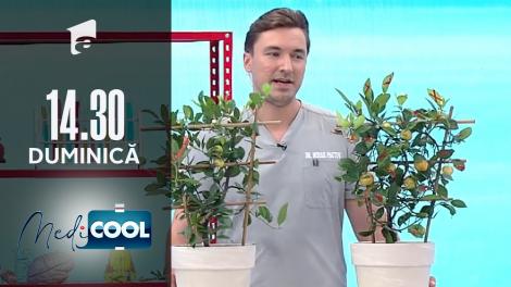 Medicool sezonul 1, 19 septembrie 2021. Totul despre mâncarea modificată genetic