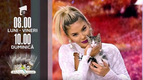 Super Neatza, 28 septembrie 2021. Toxoplasmoza la pisici