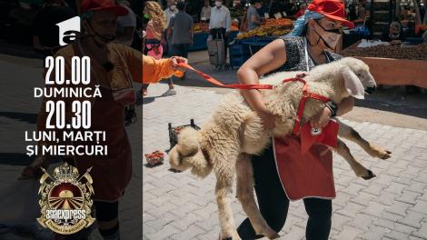 Asia Express sezonul 4, 13 octombrie 2021. Cum se face autostopul cu un miel. Shift: I-a făcut wrestling la miel, ziceai că e minge de rugby