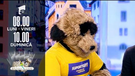Super Neatza, 11 noiembrie 2021. Mascota SuporterRO susține Echipa Națională de Fotbal a României